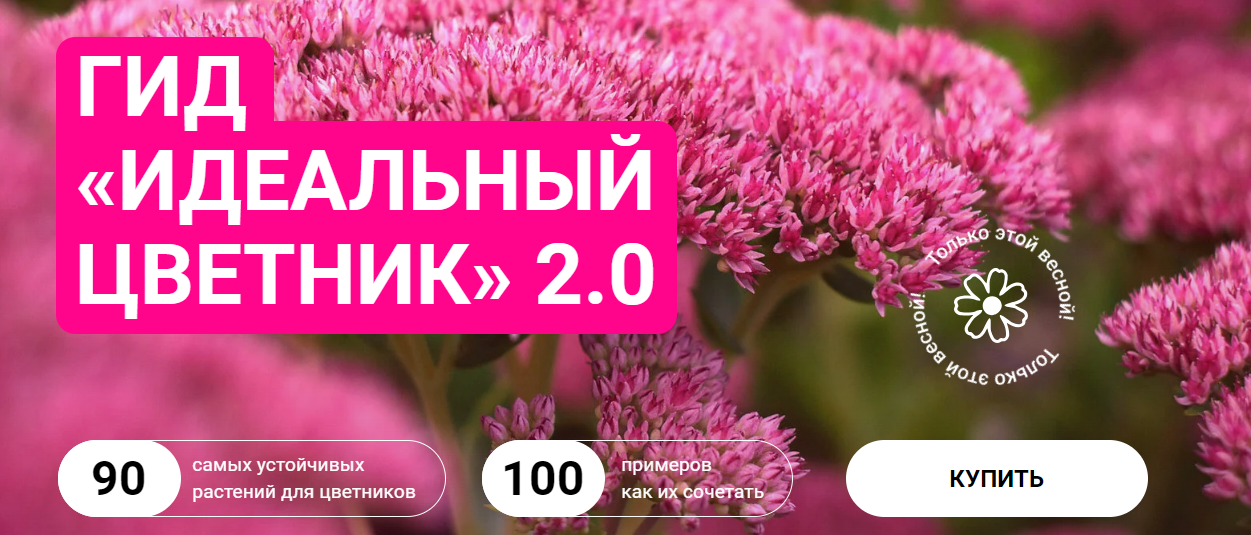 [Марина Берестова] Гид «Идеальный цветник» 2.0 (20_0.png